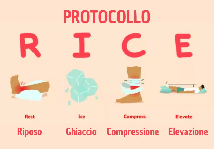 Rice Protocol